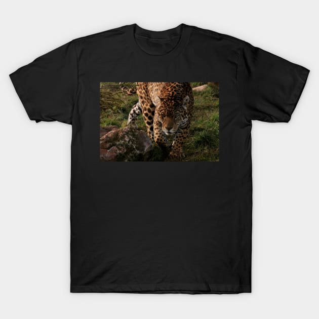 Prowler T-Shirt by Ladymoose